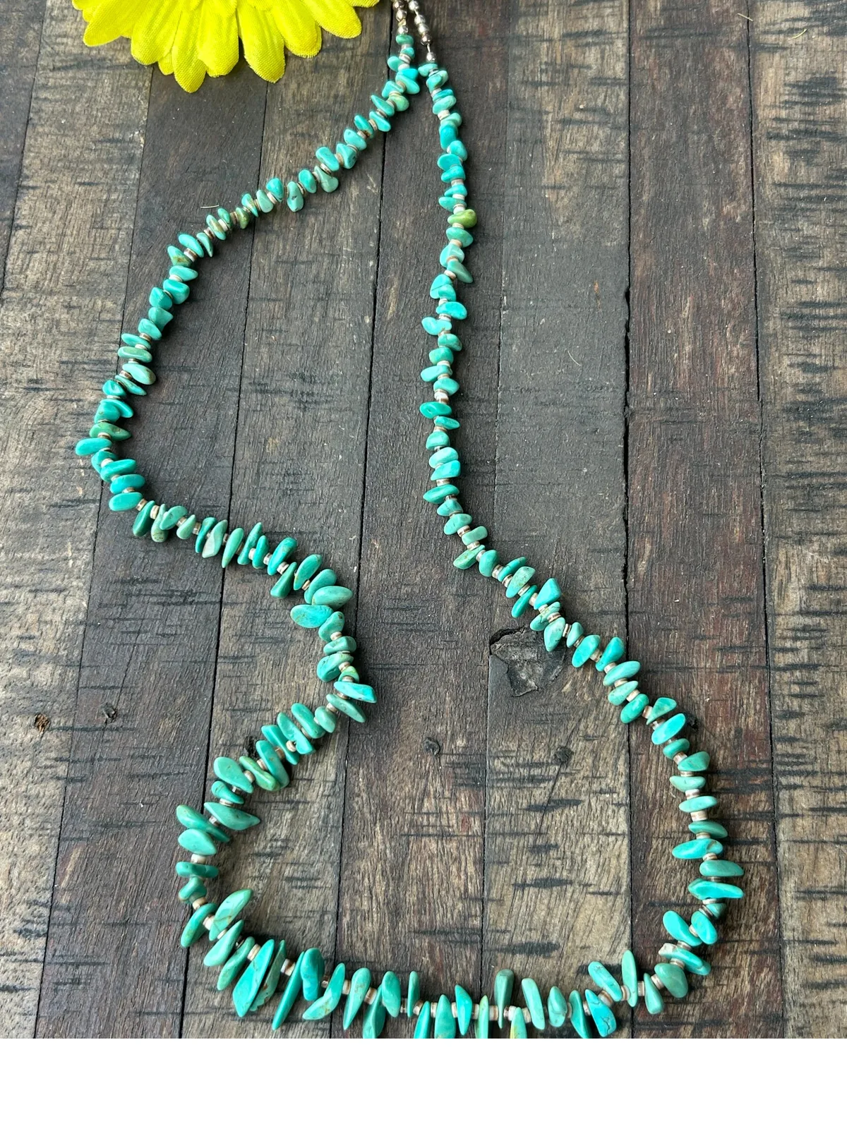 25" Campo Frio and Heishi Strand #24